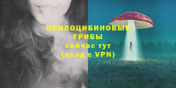 мет Осинники