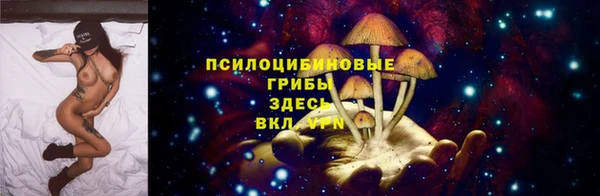 мет Осинники