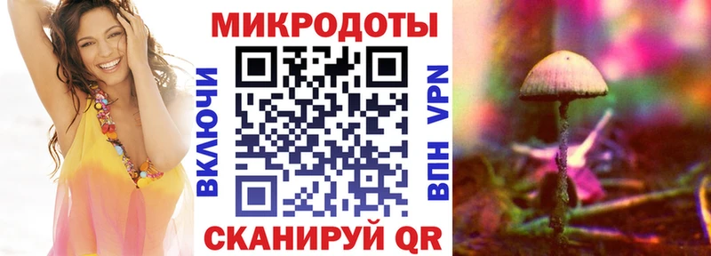 где купить   Сельцо  Псилоцибиновые грибы Cubensis 